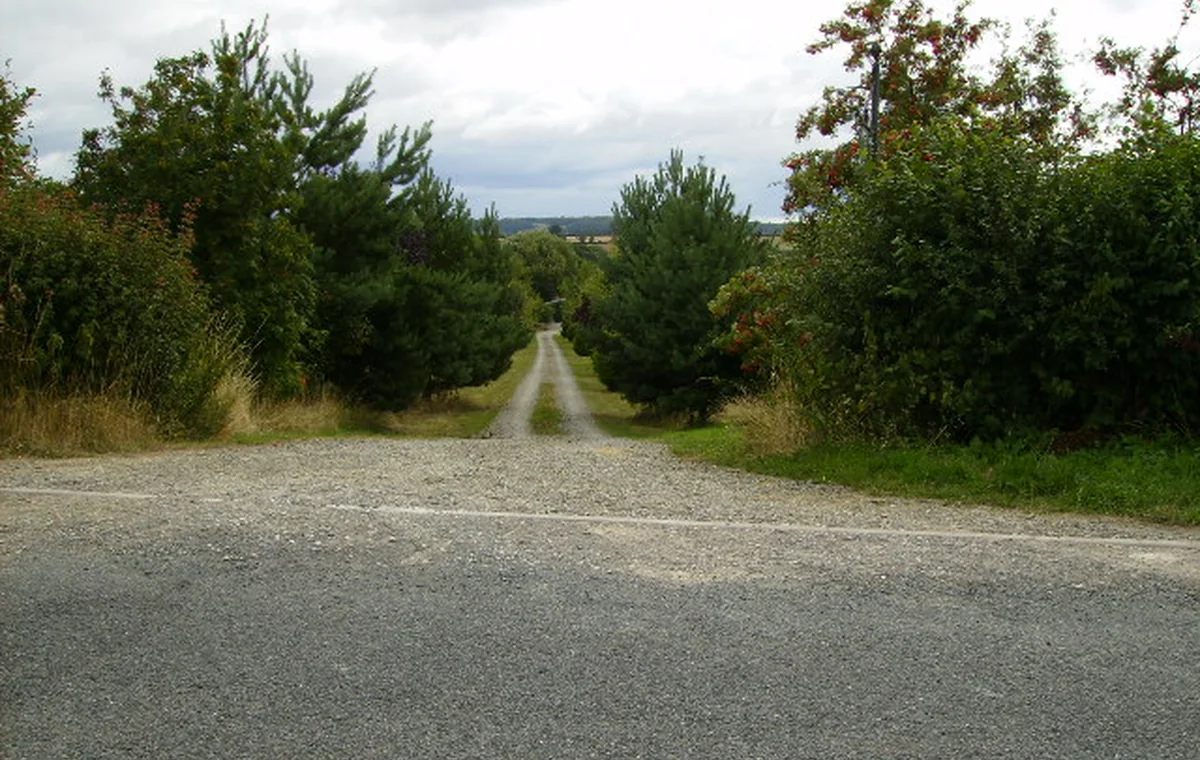 Gravel driveway surface