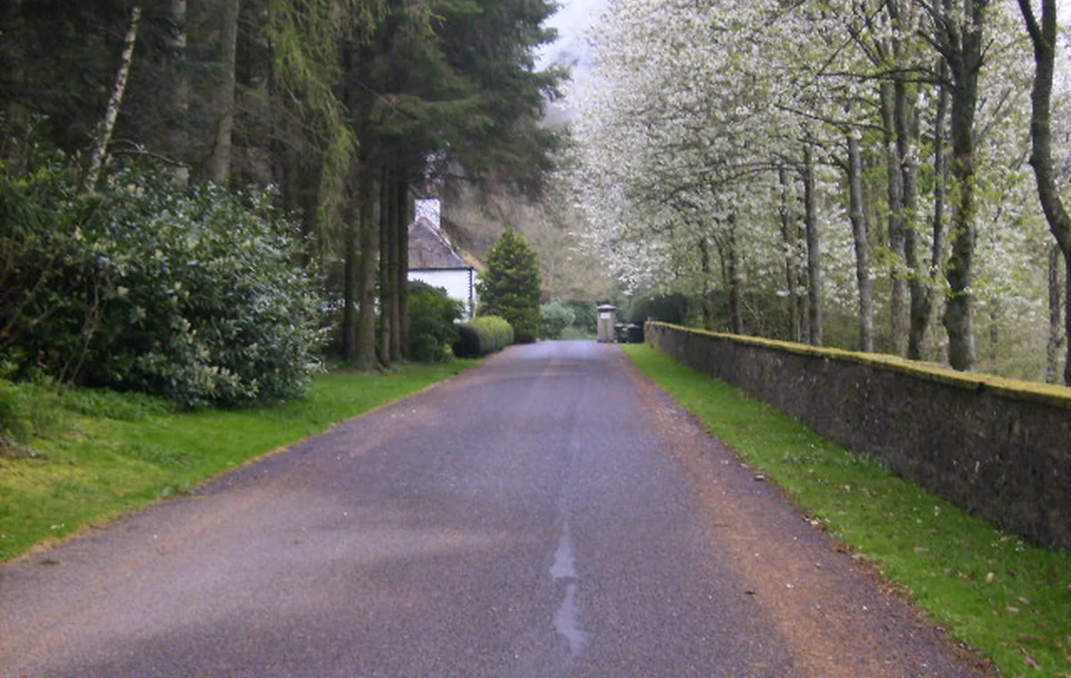 Tarmac driveway surface